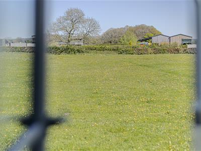 Picture 23